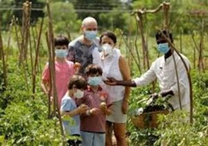Family enjoying time together in a peaceful home garden