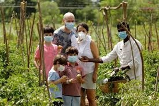 Family enjoying time together in a peaceful home garden