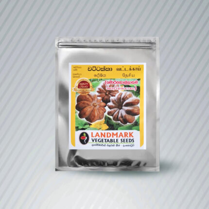 Ecoagri-Butternut/ බටානා Seeds 15-17 nos