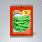 Green Chilli/ අමු මිරිස් Seeds 90-100 nos