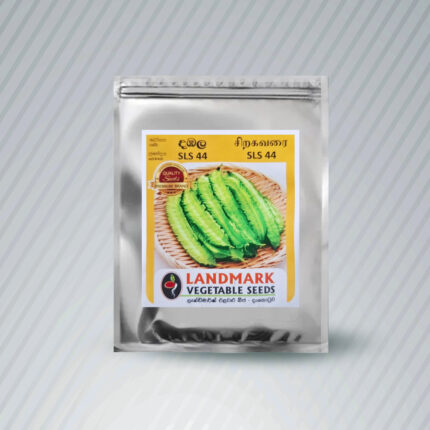 Ecoagri-Landmark Vegetable Seeds - Winged Bean (SLS 44)
