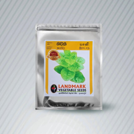 Ecoagri-Butternut/ බටානා Seeds 15-17 nos