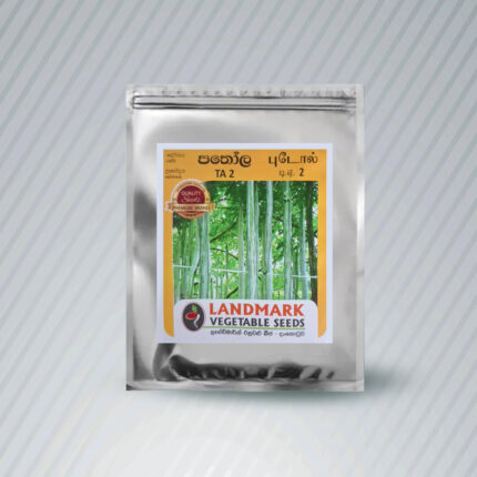 Ecoagri-Butternut/ බටානා Seeds 15-17 nos