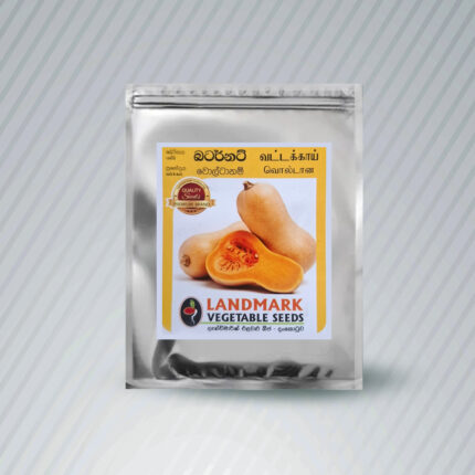 Ecoagri-Butternut/ බටානා Seeds 15-17 nos