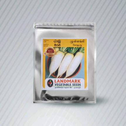 Ecoagri-Butternut/ බටානා Seeds 15-17 nos