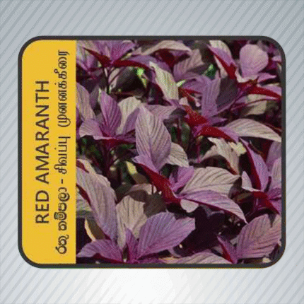 Ecoagri-Red amaranth