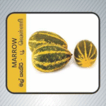 Marrow (මල් කැකිරි)