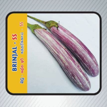 Ecoagri-Brinjal-ss