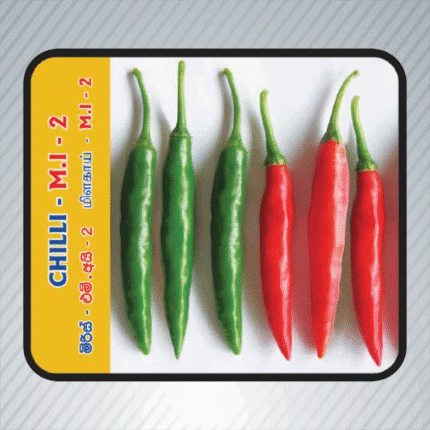 Ecoagri-Chilli-M.I-2