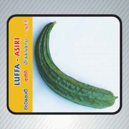 Ecoagri-Luffa-Asiri