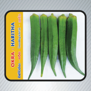 Okra Haritha Seeds - Buy Online Sri Lanka | EcoAgri.lk