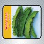 Wing Bean (දඹල)