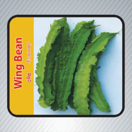 Ecoagri-Wing bean