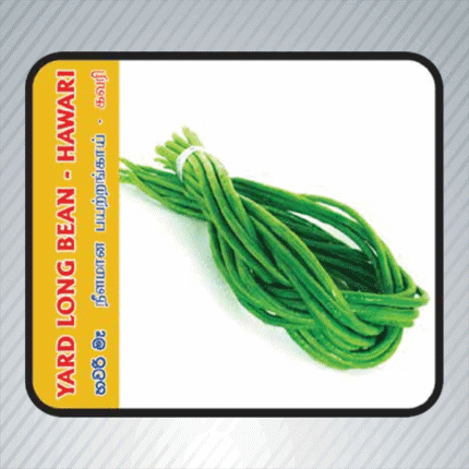 Ecoagri-Yard long bean-Hawari