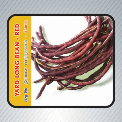 Ecoagri-Yard long bean-red