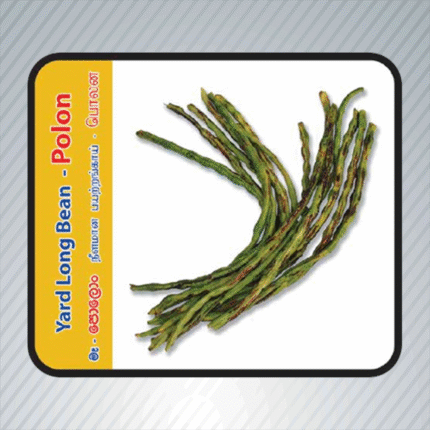 Ecoagri-Yard long bean-Polon
