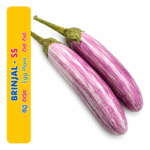 Brinjal - SS (බටු ලේන ඉරි)