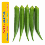 Okra - Haritha (බණ්ඩක්කා හරිත)