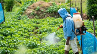 Sri Lanka farmers